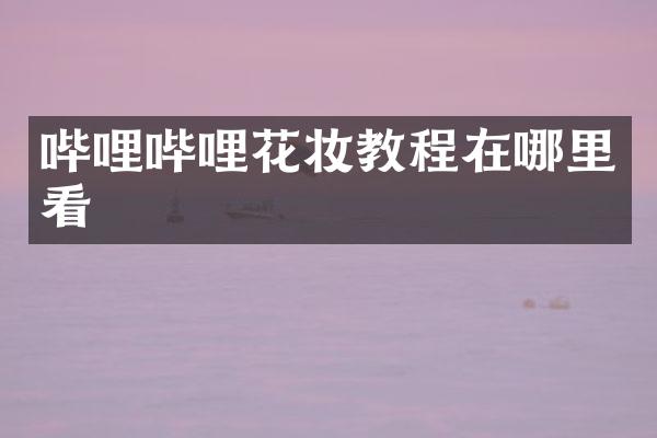 哔哩哔哩花妆教程在哪里看