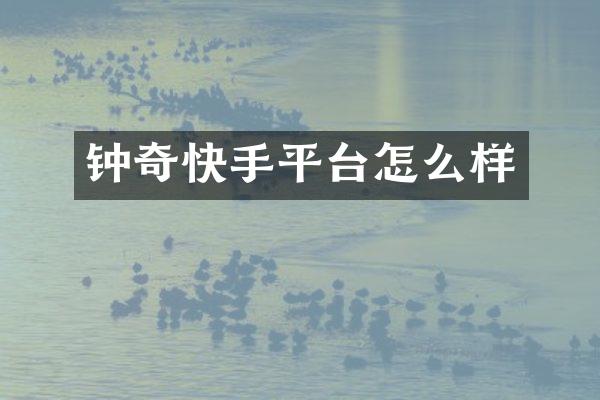 钟奇快手平台怎么样