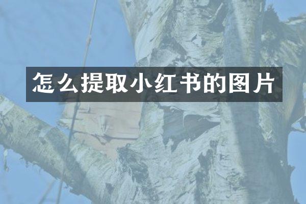 怎么提取小红书的图片