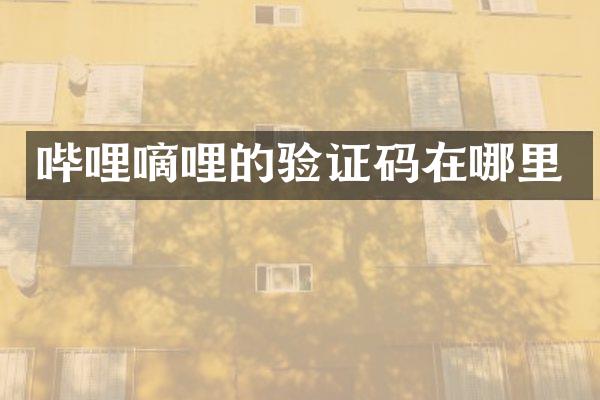 哔哩嘀哩的验证码在哪里
