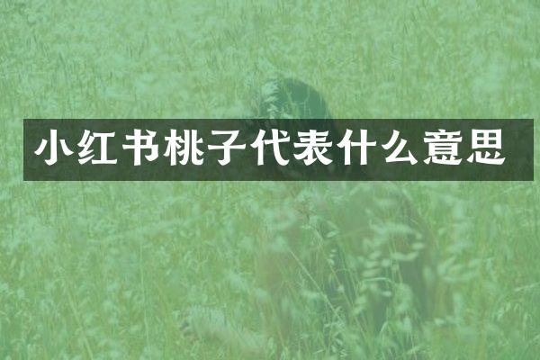 小红书桃子代表什么意思