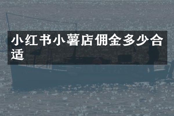 小红书小薯店佣金多少合适