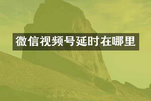 微信视频号延时在哪里