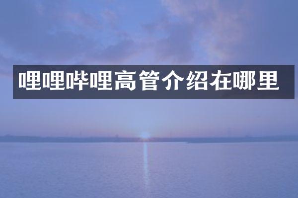 哩哩哔哩高管介绍在哪里