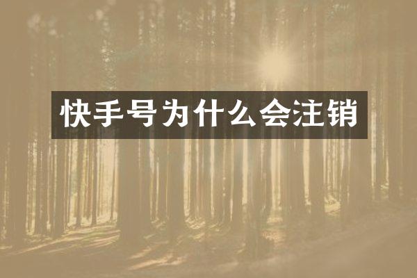 快手号为什么会注销