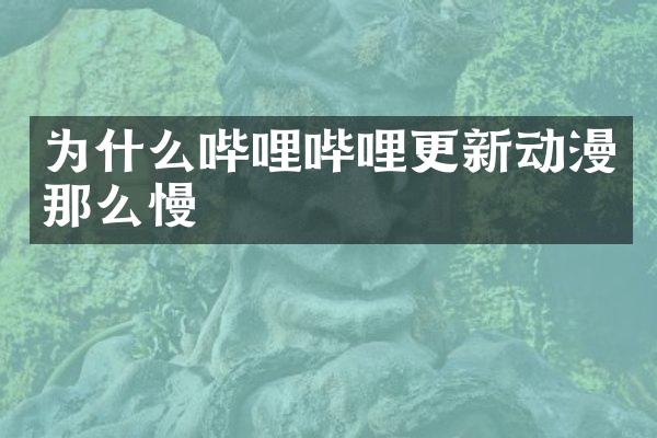 为什么哔哩哔哩更新动漫那么慢