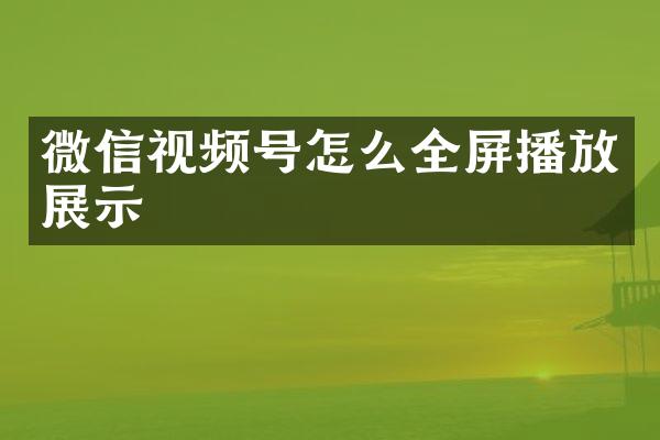 微信视频号怎么全屏播放展示