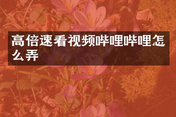 高倍速看视频哔哩哔哩怎么弄