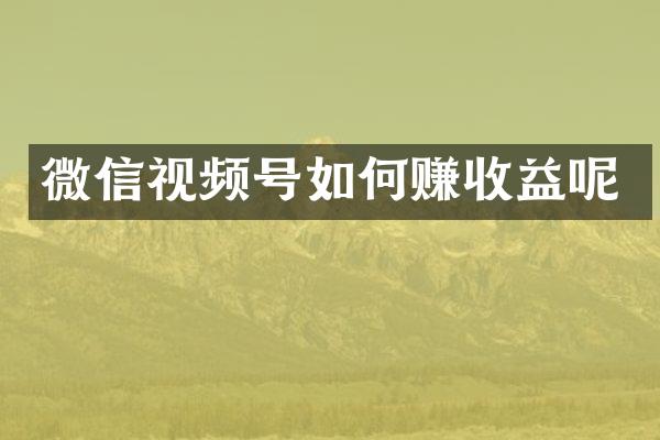 微信视频号如何赚收益呢