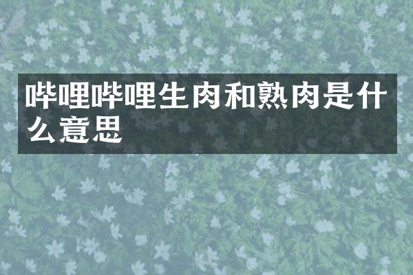 哔哩哔哩生肉和熟肉是什么意思