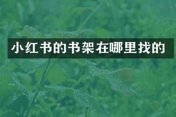 小红书的书架在哪里找的