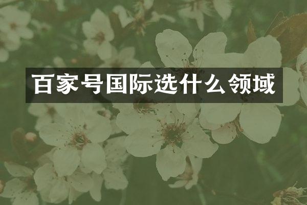 百家号国际选什么领域