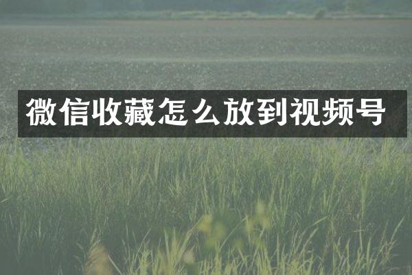 微信收藏怎么放到视频号
