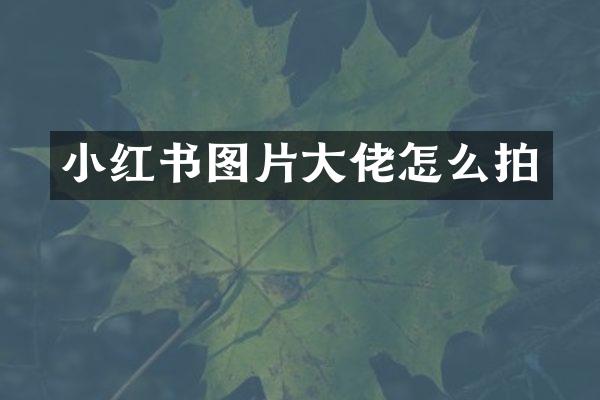 小红书图片大佬怎么拍