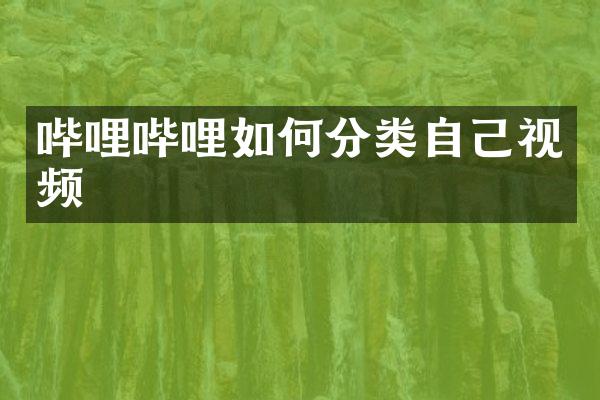 哔哩哔哩如何分类自己视频