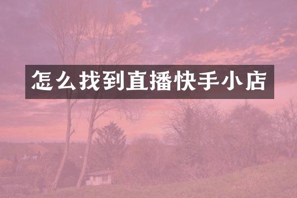 怎么找到直播快手小店