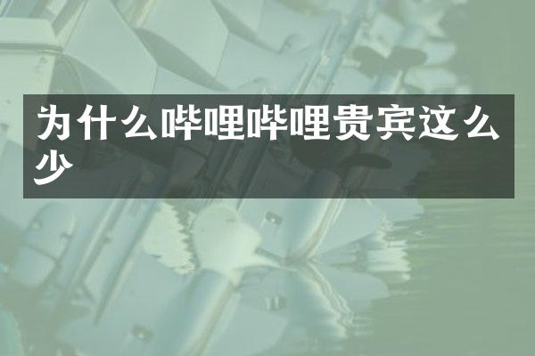 为什么哔哩哔哩贵宾这么少