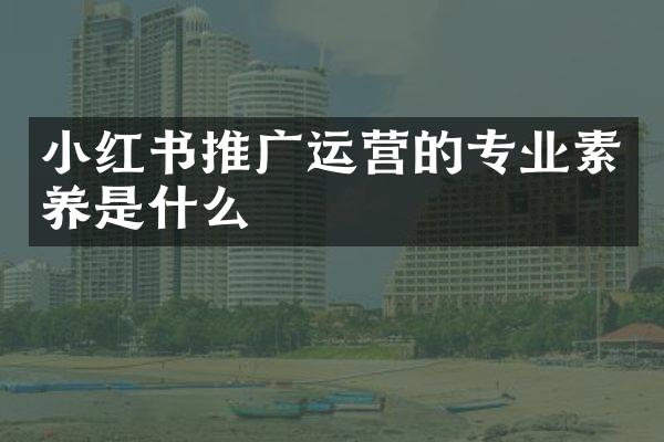 小红书推广运营的专业素养是什么