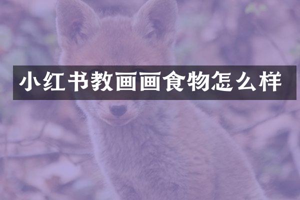 小红书教画画食物怎么样