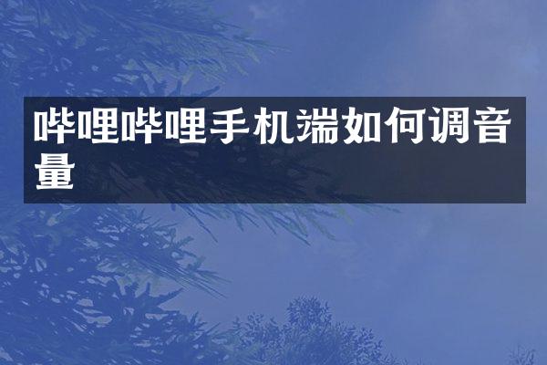 哔哩哔哩手机端如何调音量