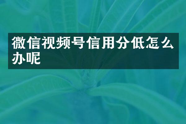 微信视频号信用分低怎么办呢