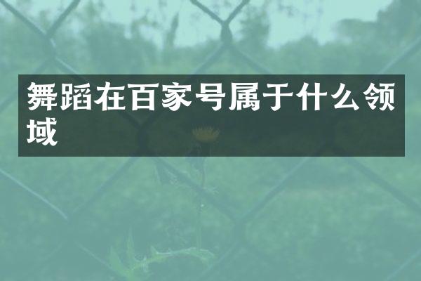 舞蹈在百家号属于什么领域