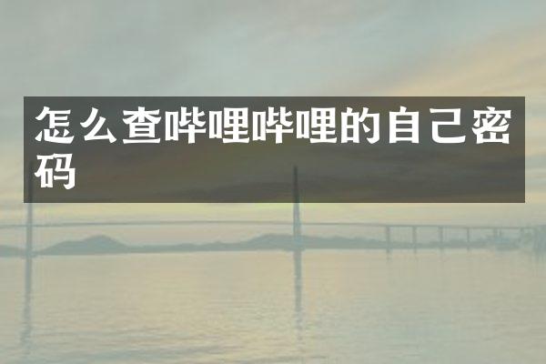怎么查哔哩哔哩的自己密码