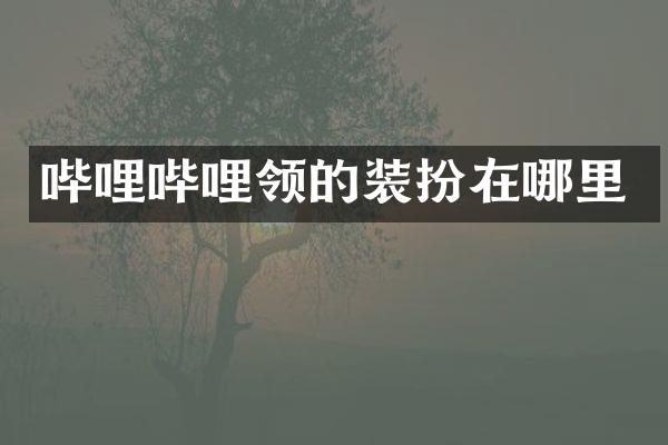 哔哩哔哩领的装扮在哪里