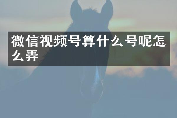 微信视频号算什么号呢怎么弄