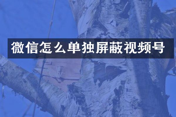 微信怎么单独屏蔽视频号