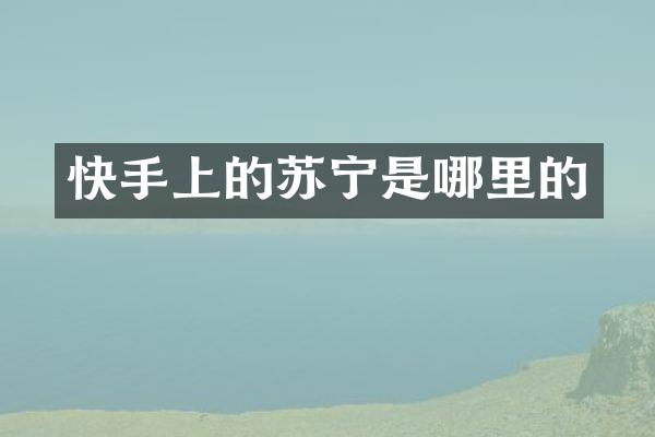 快手上的苏宁是哪里的