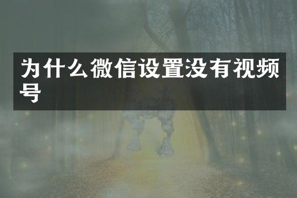 为什么微信设置没有视频号