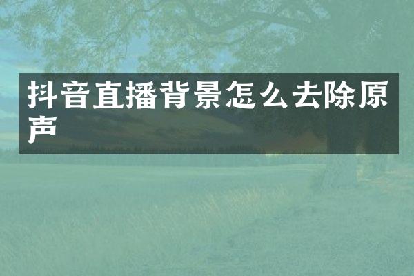 抖音直播背景怎么去除原声