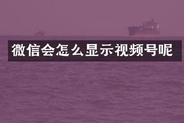 微信会怎么显示视频号呢
