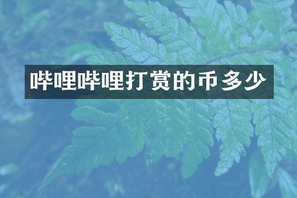 哔哩哔哩打赏的币多少