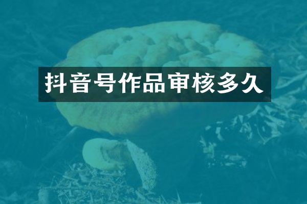 抖音号作品审核多久