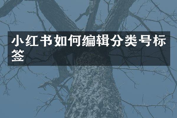 小红书如何编辑分类号标签