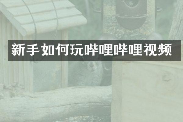 新手如何玩哔哩哔哩视频