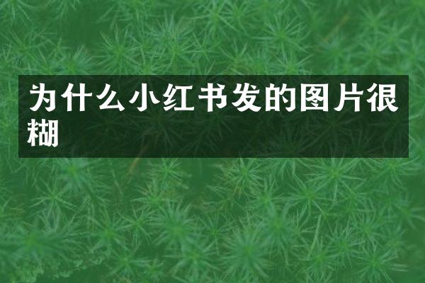 为什么小红书发的图片很糊
