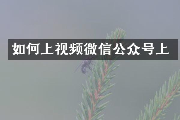 如何上视频微信公众号上
