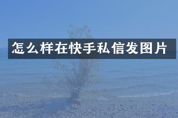 怎么样在快手私信发图片
