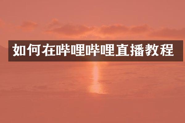 如何在哔哩哔哩直播教程