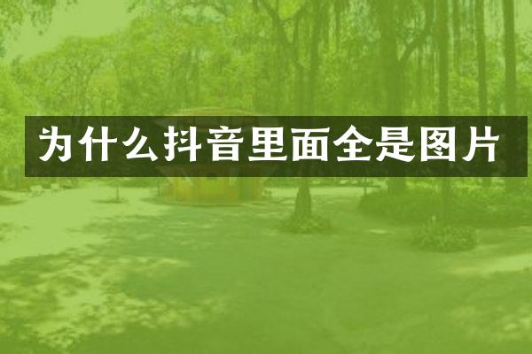 为什么抖音里面全是图片