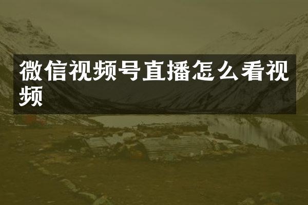 微信视频号直播怎么看视频