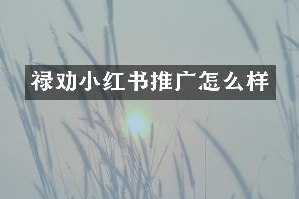 禄劝小红书推广怎么样