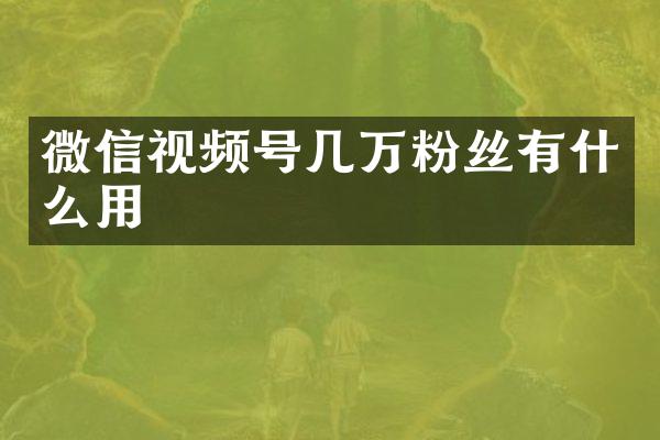 微信视频号几万粉丝有什么用
