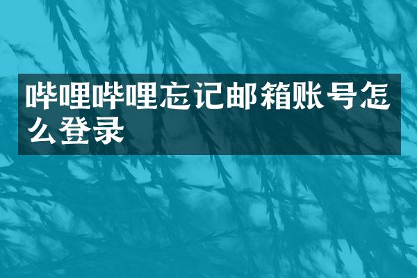 哔哩哔哩忘记邮箱账号怎么登录