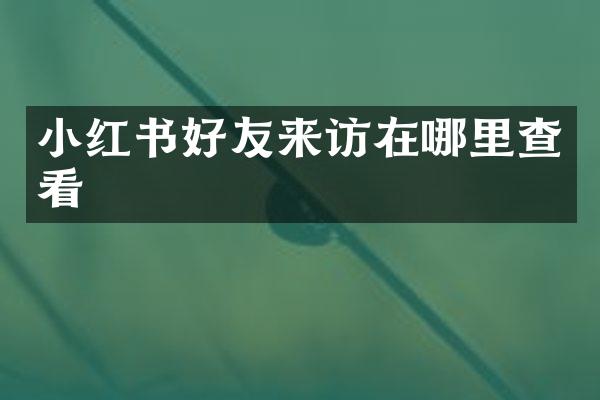 小红书好友来访在哪里查看