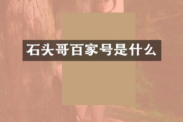 石头哥百家号是什么