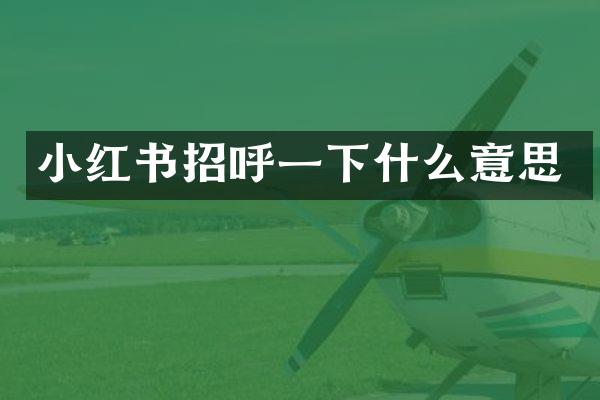 小红书招呼一下什么意思